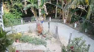 Vụ &aacute;n Tiền Giang