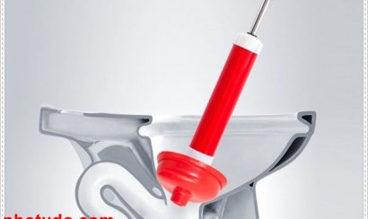 Cách sử dụng cây thông bồn cầu đúng cách nhất