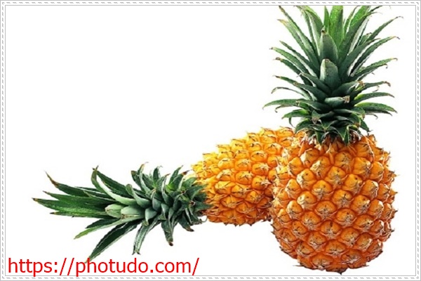 Khử m&ugrave;i h&ocirc;i trong ph&ograve;ng k&iacute;n bằng tr&aacute;i thơm