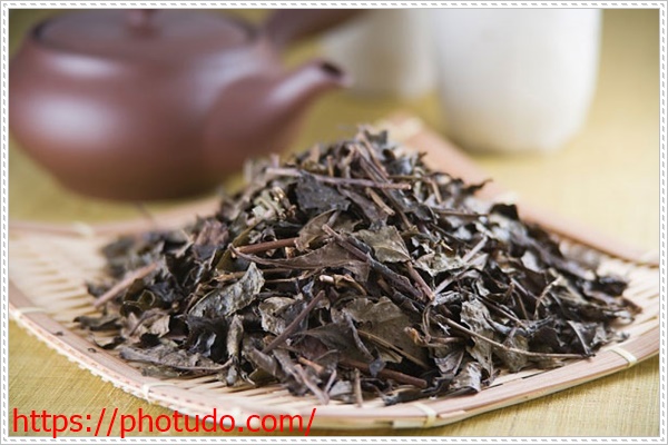 Khử m&ugrave;i h&ocirc;i trong ph&ograve;ng k&iacute;n bằng b&atilde; tr&agrave; kh&ocirc;