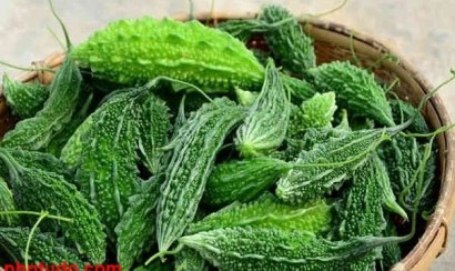 Dùng mướp đắng hằng ngày để nâng cao sức khỏe