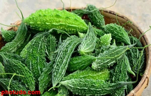 công dụng của mướp đắng