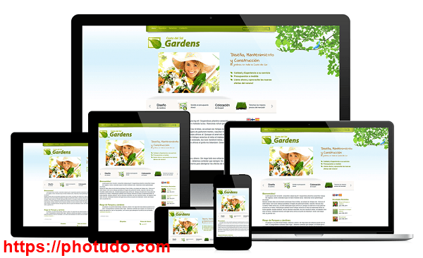 thiết kế website